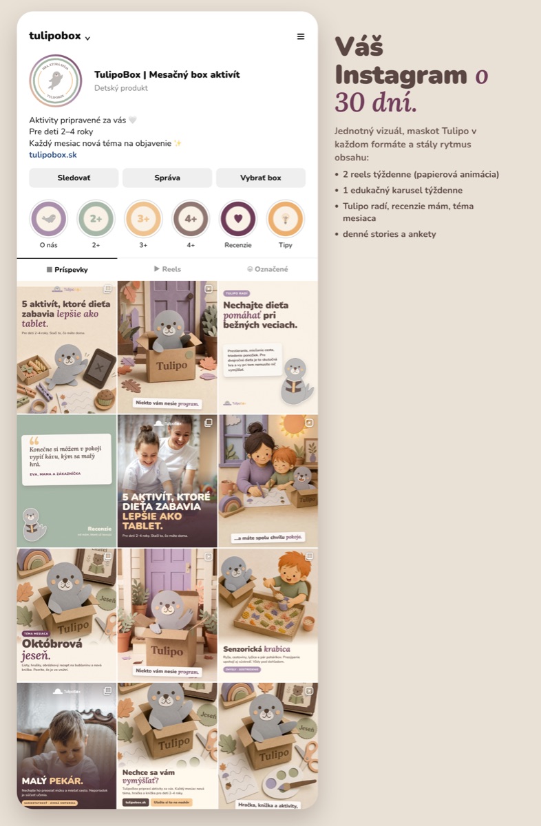 TulipoBox, mockup Instagram profilu po 30 dňoch